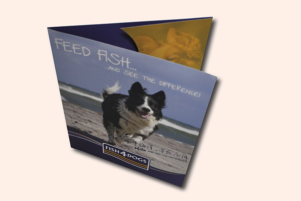 折頁(yè)5.png 折頁(yè)5.png